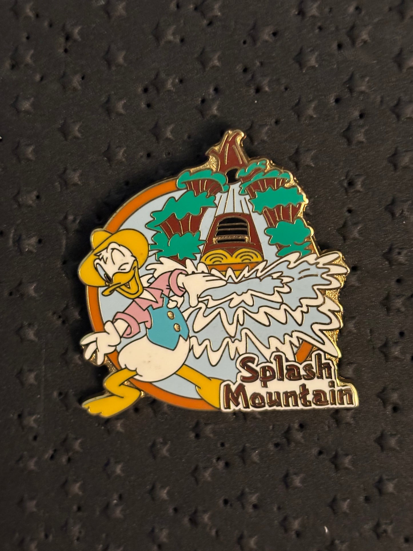 Donald Duck Splash Mountain pin